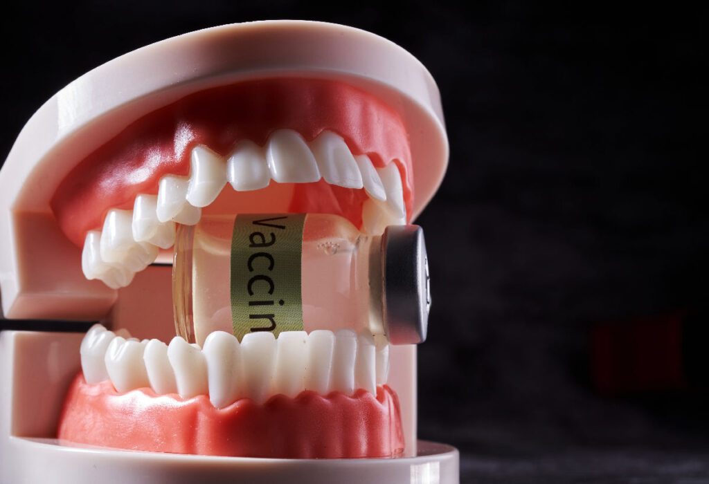 Üsküdar'da bir klinikte sergilenen modern bir implant üstü protez diş modeli.